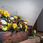 Casa La Carpintera Royuela
