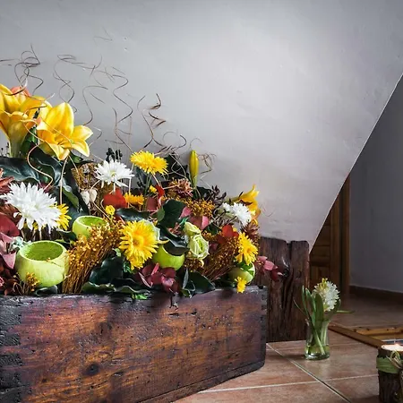 Casa La Carpintera Royuela